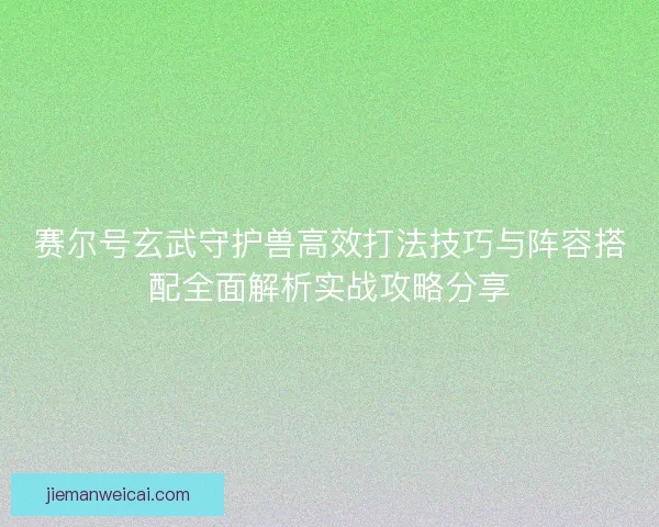 赛尔号玄武守护兽高效打法技巧与阵容搭配全面解析实战攻略分享